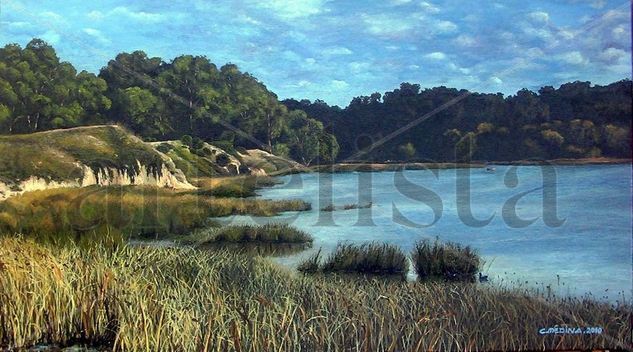 "Laguna de los padres"  (Mar del Plata) Oil Canvas Landscaping