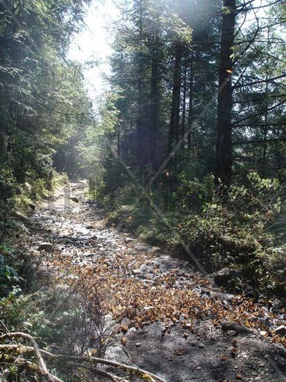 río de mariposas 