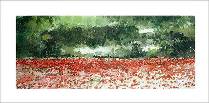Campo de amapolas