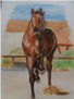 caballo