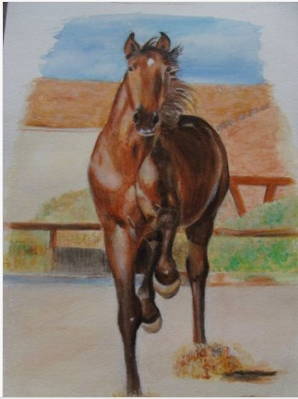 caballo