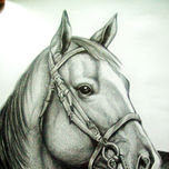 CABALLOS thumbnail 1