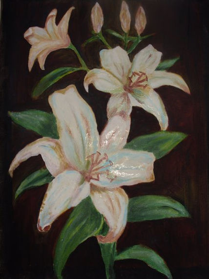 Flores