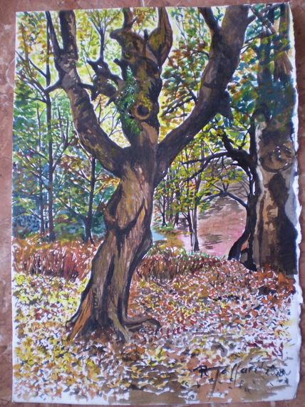 El bosque