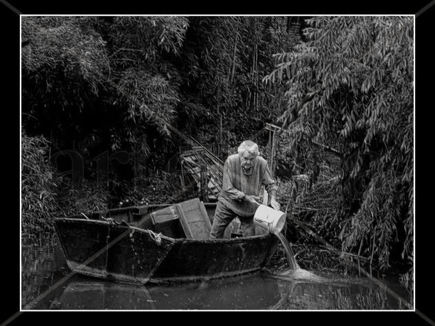 EL VIEJO Y EL BOTE