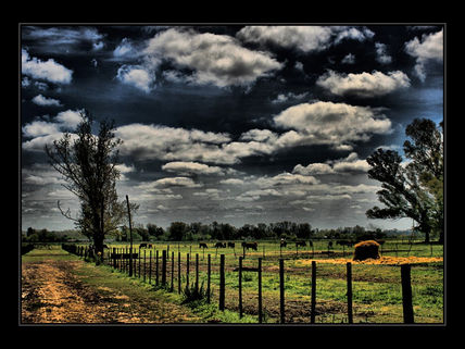 Campo de uribelarrea