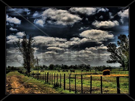 Campo de uribelarrea