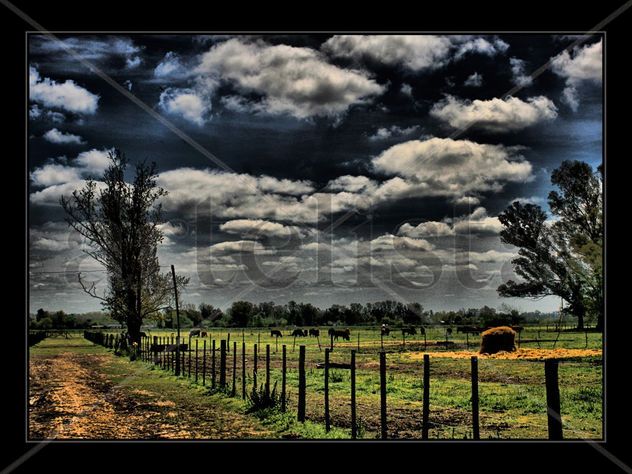 CAMPO DE URIBELARREA