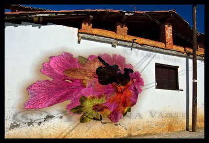 The flowers in her...