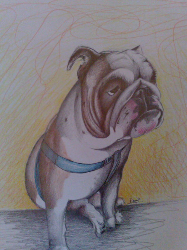 bulldog