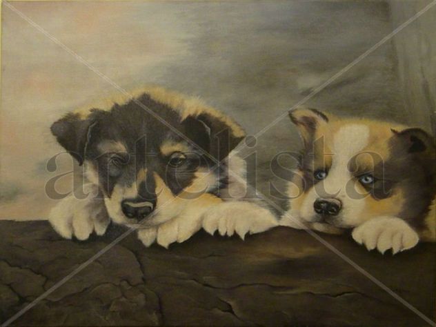 CACHORROS