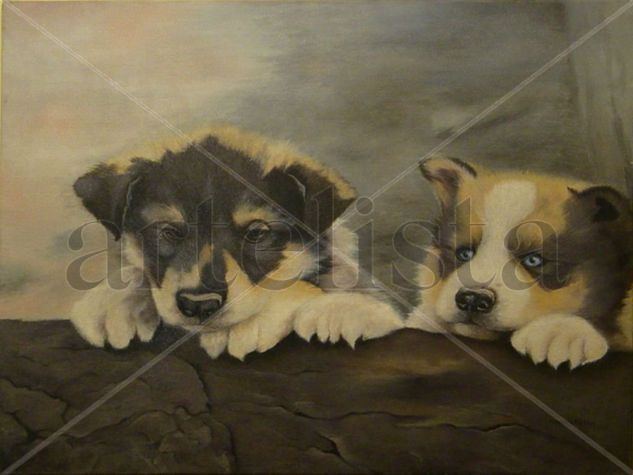 CACHORROS Oil Canvas Animals