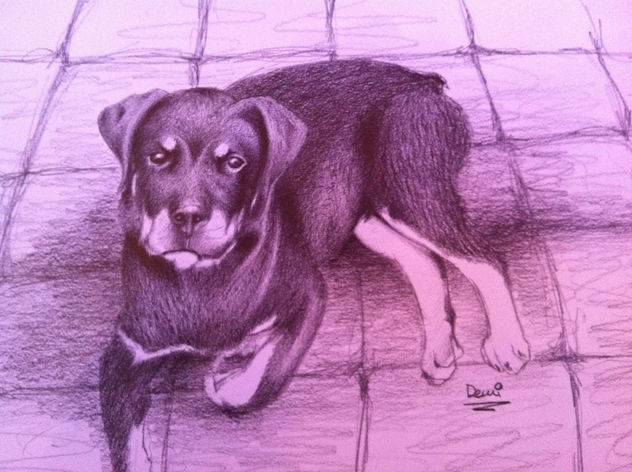 retrato