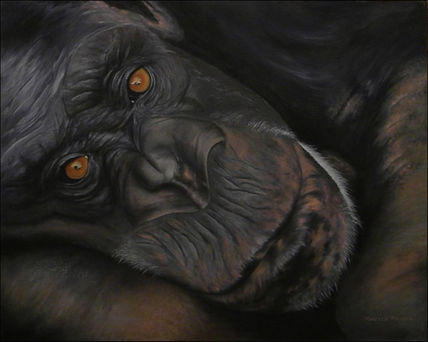 Ternura