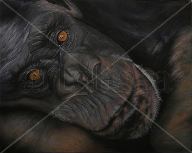 TERNURA Oil Canvas Animals