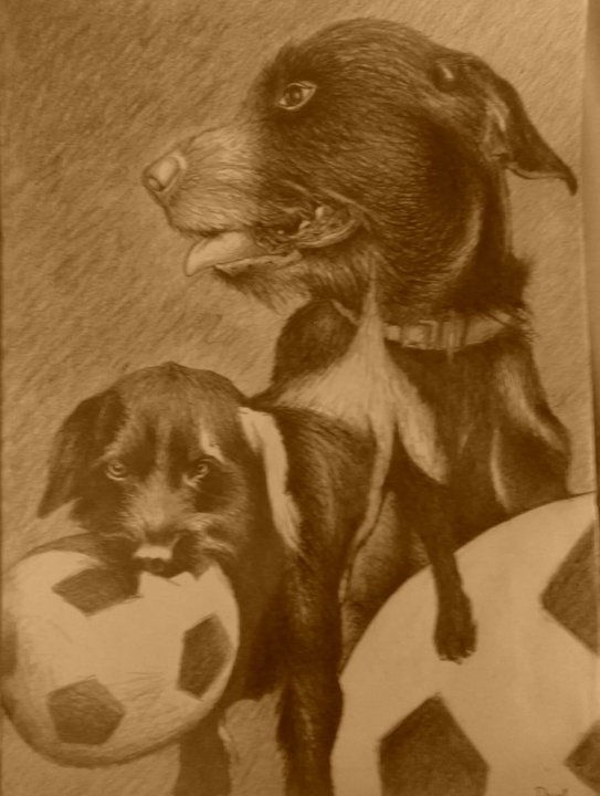 retrato