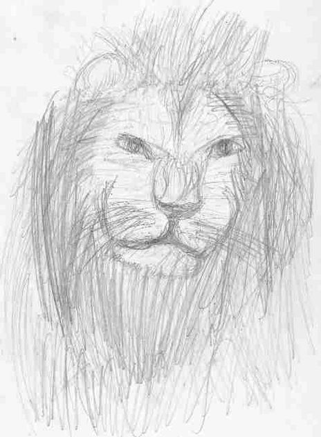 Cabeza de leon