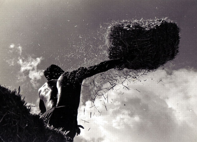 Hay Feeding-Lanzador de Heno
