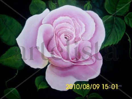 Rosa Francia