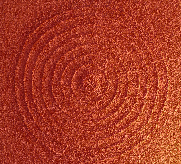 S/T123
