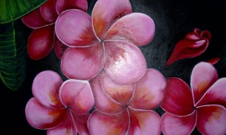 Flores