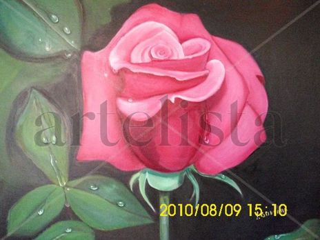 Rosa Mistica