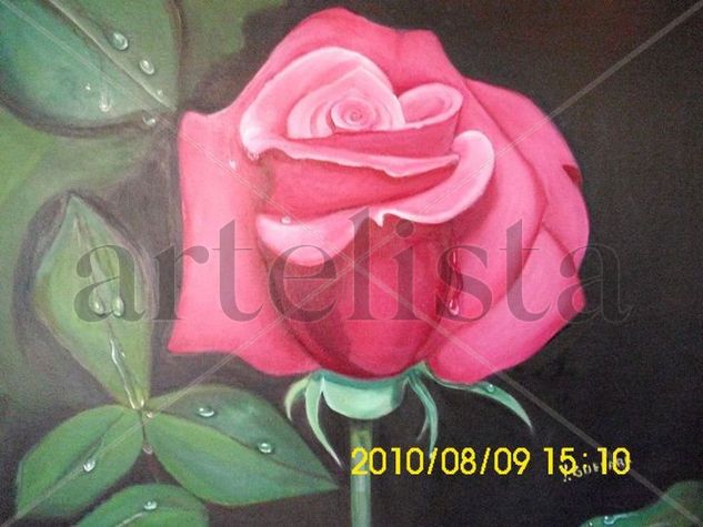 Rosa Mistica Oil Canvas Floral Painting