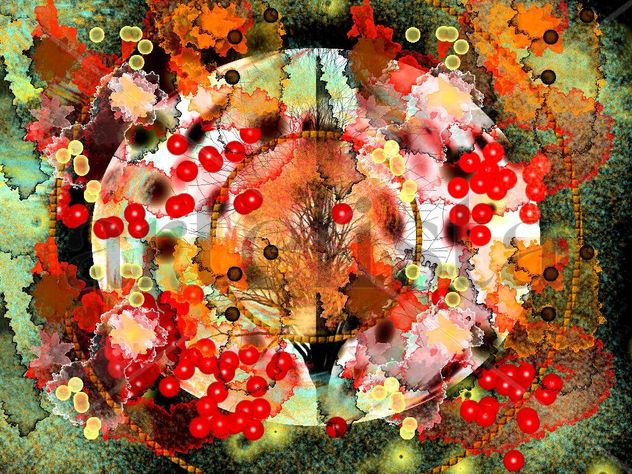 Serie Noel. Título: Platito de Navidad