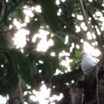 SENTIMIENTOS thumbnail 2