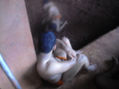 kusti 9
