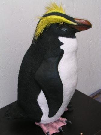 PINGUINO NEW ZELAND 