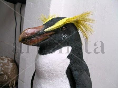 PINGUINO NEW ELAND 