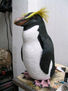 PINGUINO NEW ZELAND