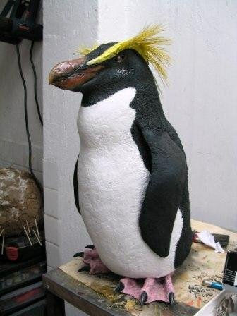 Pinguino new zeland