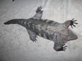 IGUANA ROSADA GALAPAGOS