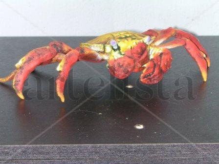 CANGREJO GALAPAGOS Others Figurative