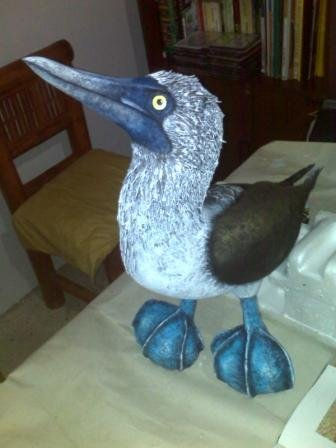 Piquero patas...