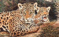 Jaguar con su cria