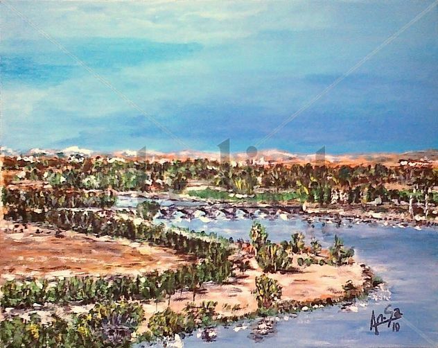 Vista Rio Duero (desde Castronuño).