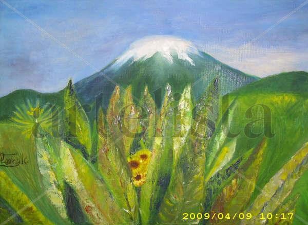 NEVADO Y FRAILEJON Oil Canvas Landscaping