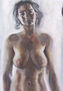 Estudio Torso