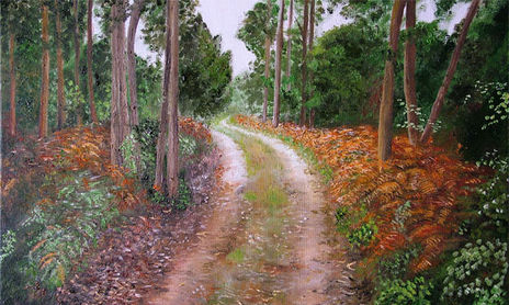 Paisajes