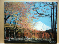 Obras de patricio...