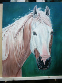 Obras de patricio...