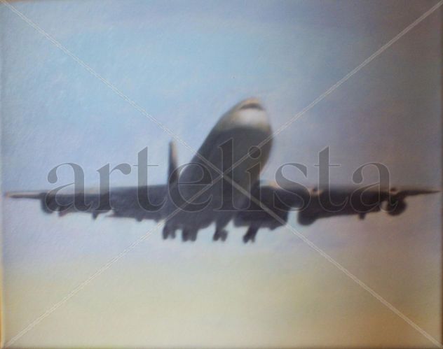 avion en vuelo