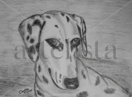 "retrato de micka"