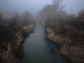 Otoño en el Jarama