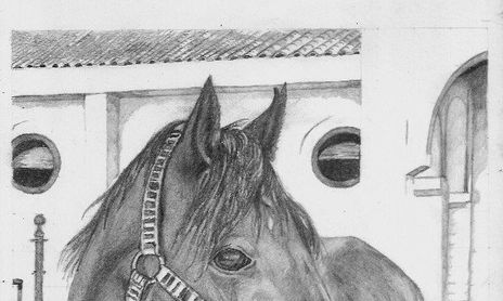 CABALLOS