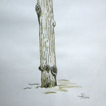 Árboles thumbnail 1