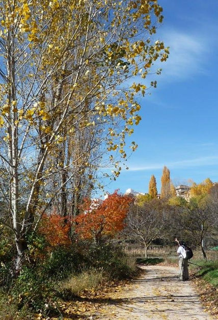 Colores de otoño (ii)